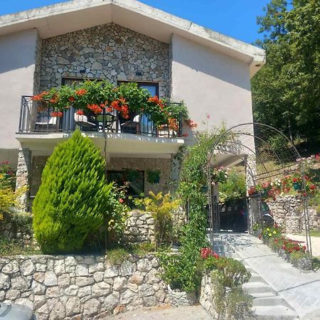Dado Apartamento Virpazar Exterior foto