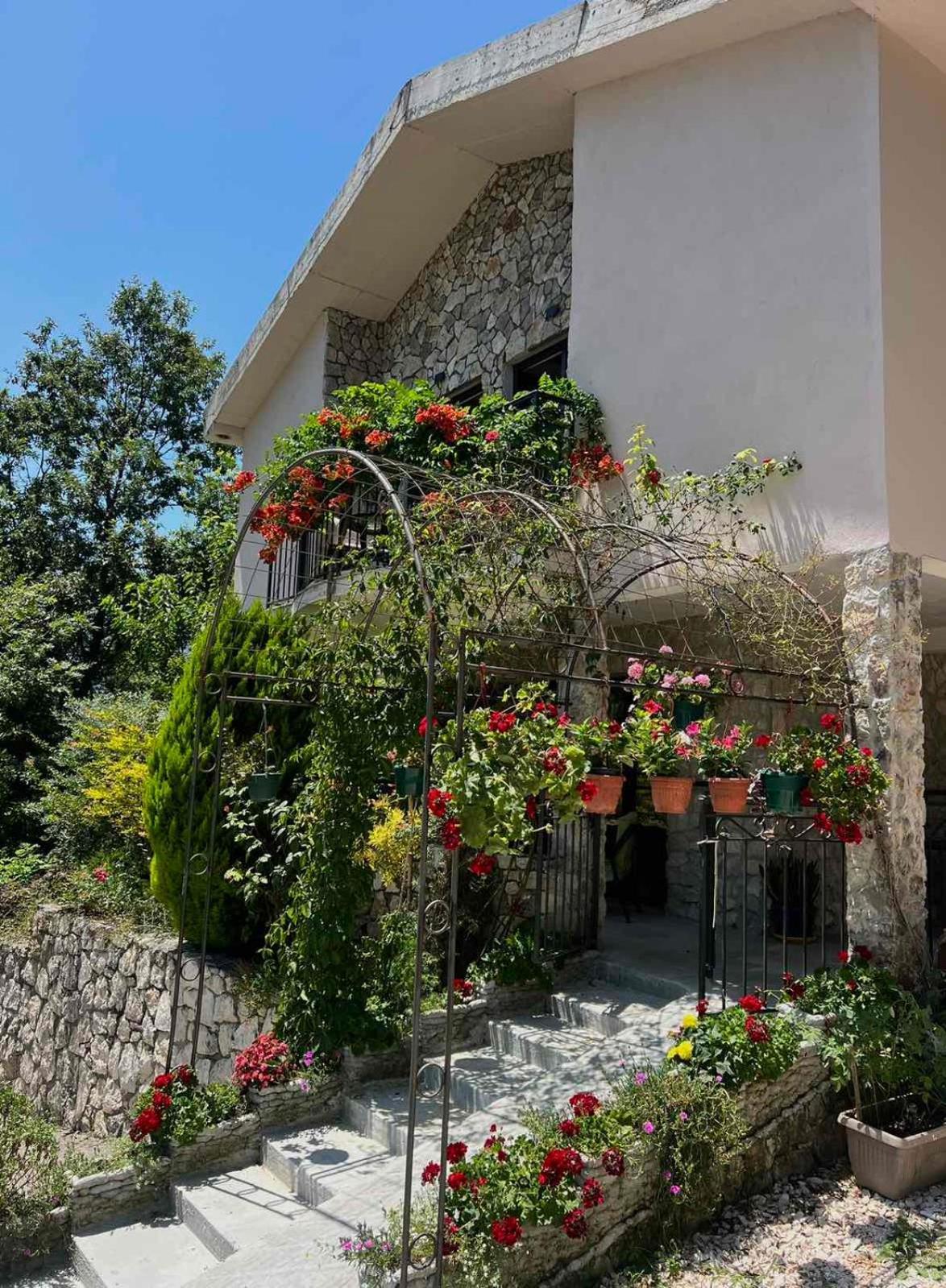 Dado Apartamento Virpazar Exterior foto