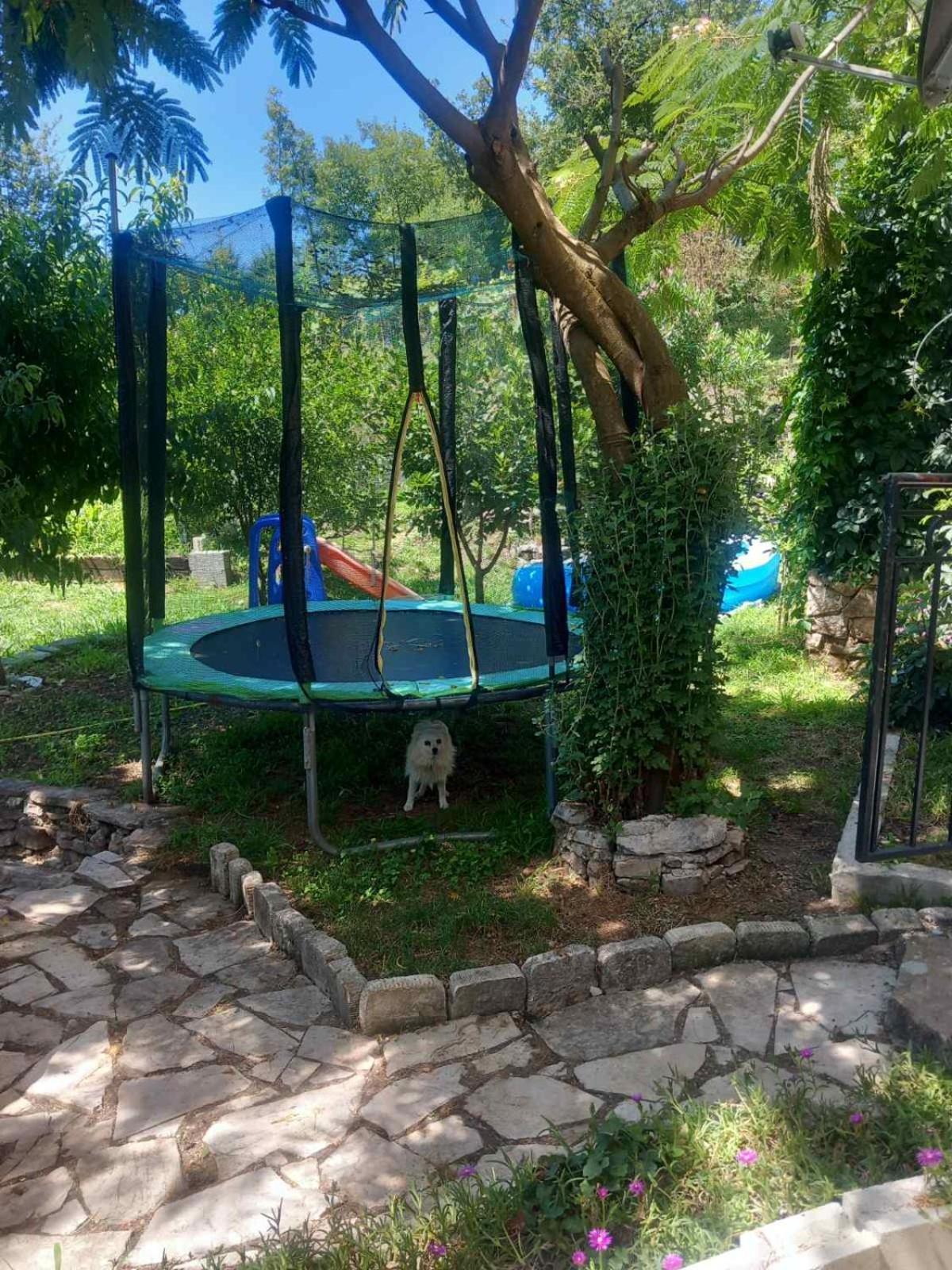 Dado Apartamento Virpazar Exterior foto