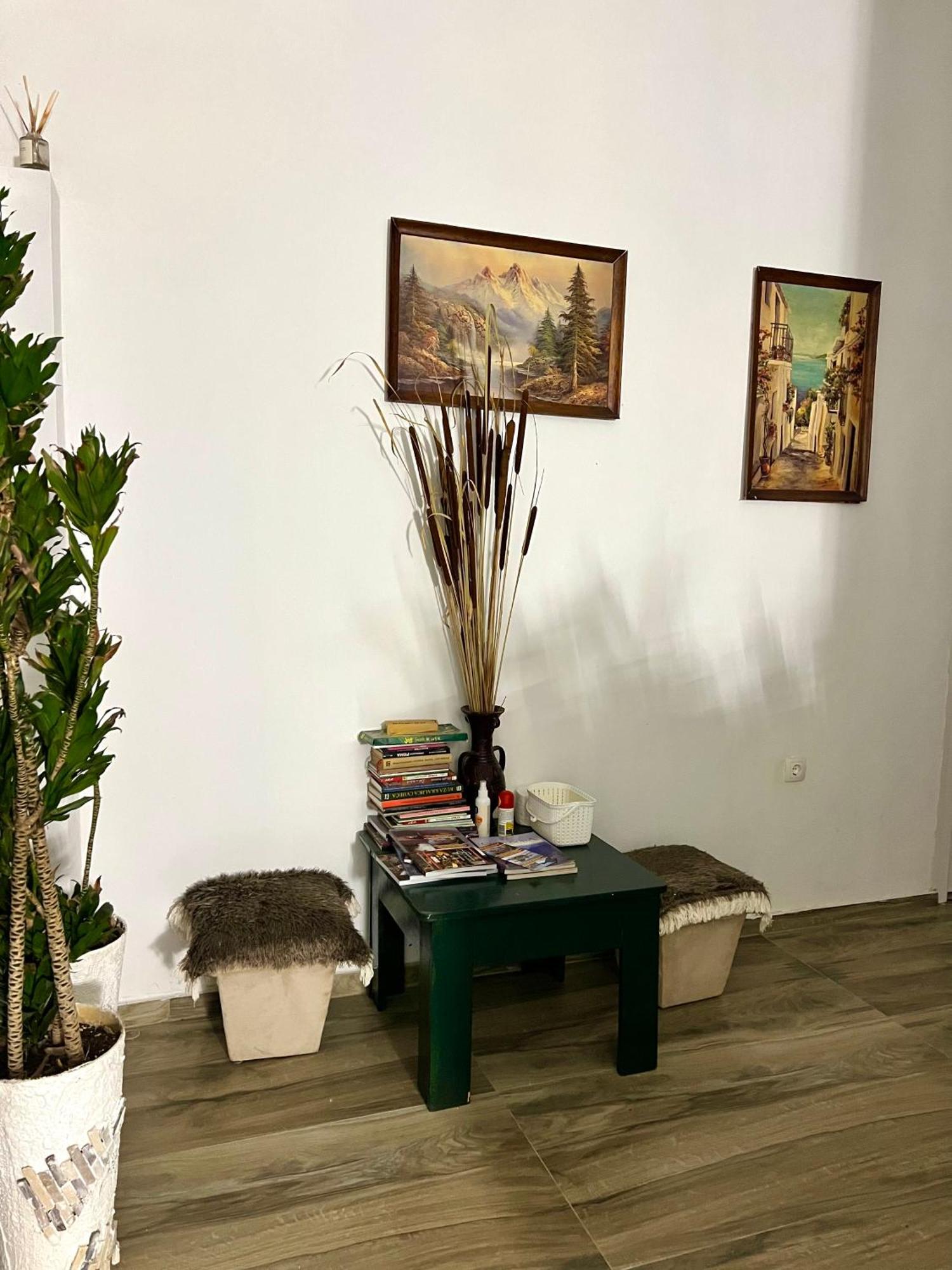 Dado Apartamento Virpazar Exterior foto
